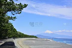 富士山,山,雪山,世界遗产,云,静冈县,松树,浮世绘,户外,晴朗