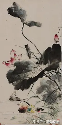 王雪涛笔下的荷塘意趣