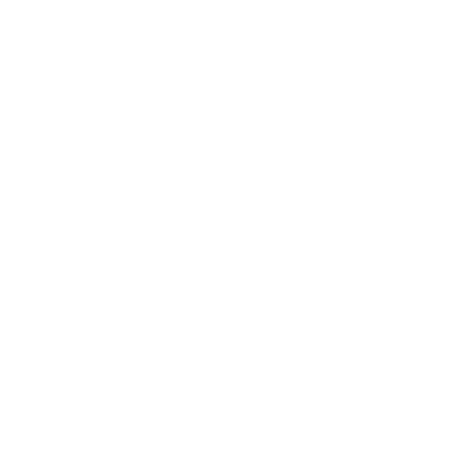 星光