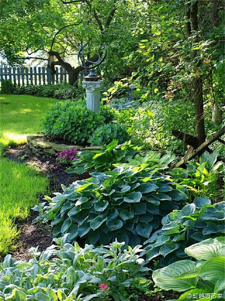 #花园沙龙#荫生花园，是以耐阴植物为主的...