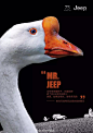 Jeep 75 周年 , 竟然请来了一群动物庆生……