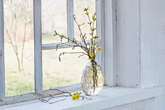 spring branches in vase  on windowsillspring branches in vase  on windowsill
