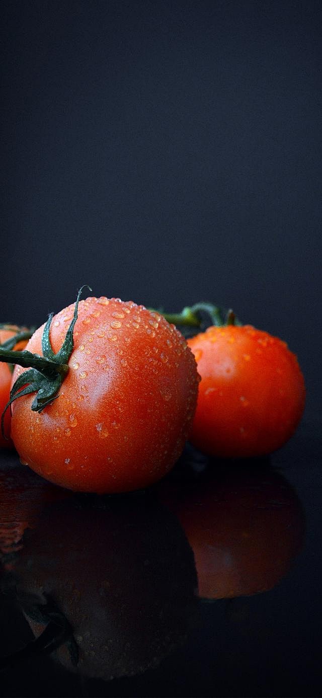 《你是我的菜》