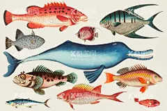 海洋生物合集  - 源文件下载【酷图网】海洋生物合集,海豚,鲭鱼,鲤鱼,观赏鱼,金鱼,小丑鱼,红色鱼,卡通海豚,鲤鱼插画,海洋生物速写,鱼,矢量鱼,卡通鱼,手绘鱼,鱼插画,鱼插图,鱼速写,鱼素描,海洋生物,矢量海洋生物,卡通海洋生物,手绘海洋生物,海洋生物插画,海洋生物素描,海鲜,矢量海鲜,卡通海鲜,海鲜插画,手绘海鲜,