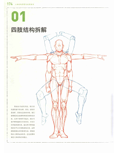 颜迟六月采集到体块