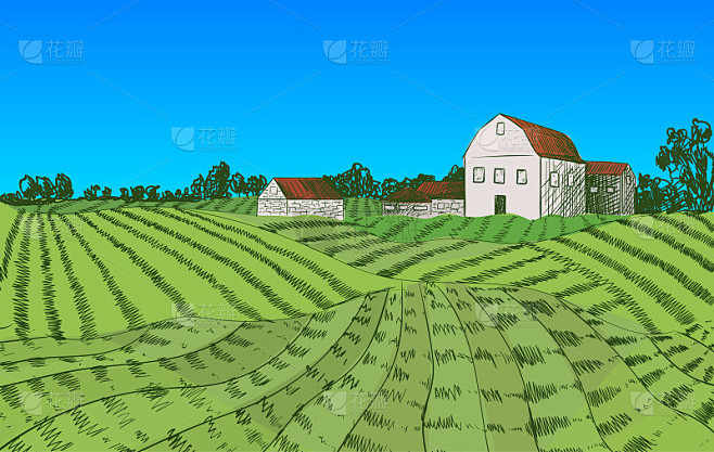 矢量彩色农场插图，手绘农场和房子，景观，背景模板，农民的田地。