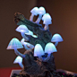 (3) Pinterest