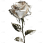 银色3D立体三维质感材质玫瑰花