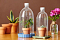 Reuse Plastic Bottles