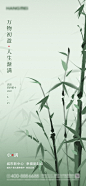 地产小满节气海报