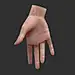3d realistic female hand rigged
