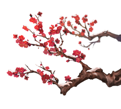 光源酱采集到花卉植物免扣