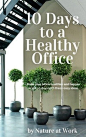 Home - Nature at Work : Nature at Work provide, service and maintain great looking plants for your offices, reception and other public areas from just £10.00 per week