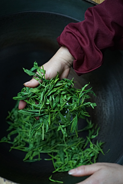 有风吹采集到我们爱生活