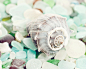Beach Glass Photography Sea Glass by BLintonPhotography on Etsy