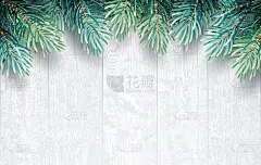 杉木枝上有白色木质纹理