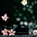流梳