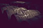 LXV Wine on Behance