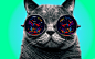 Spectre abstract cats colors digital art wallpaper (#2612725) / Wallbase.cc