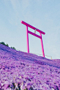Life in Japan