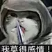 土口舟