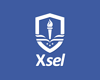 学校 教育 盾牌 火炬 书本 蓝色 商标设计 图标 图形 标志 logo 国外