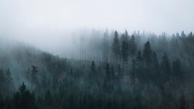 pexels-michał-osińs...