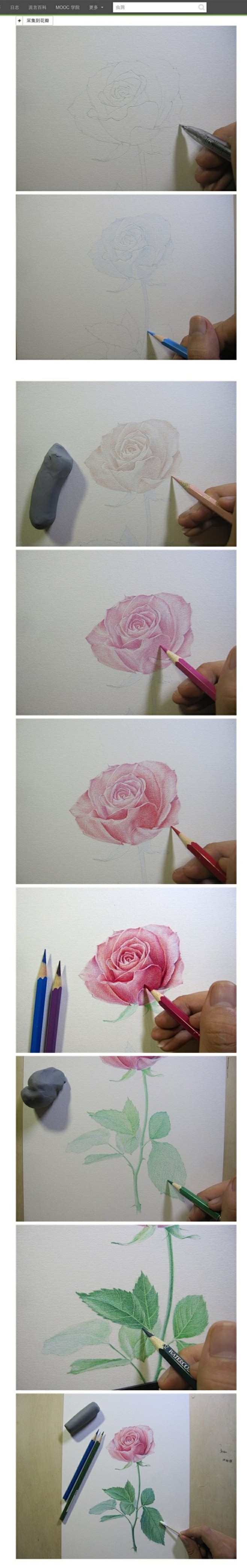 【彩铅手绘】玫瑰