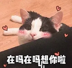 (16 条消息) 高清 表情包 - 搜索结果 - 知乎 : 有问题，上知乎。知乎，可信赖的问答社区，以让每个人高效获得可信赖的解答为使命。知乎凭借认真、专业和友善的社区氛围，结构化、易获得的优质内容，基于问答的内容生产方式和独特的社区机制，吸引、聚集了各行各业中大量的亲历者、内行人、领域专家、领域爱好者，将高质量的内容透过人的节点来成规模地生产和分享。用户通过问答等交流方式建立信任和连接，打造和提升个人影响力，并发现、获得新机会。