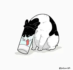 猫咪迷惑行为大赏！这40个猫咪的爆笑瞬间，每一张都是表情包哈哈哈哈 (15)