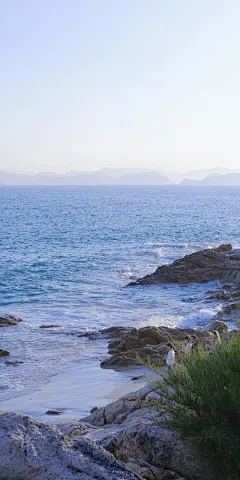 最是往事醉人情，最是旧情伤人心『大海夏日玫瑰无水印壁纸』#小清新壁纸##聊天背景图#​​​