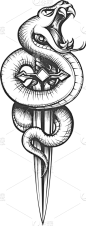 蛇,匕首,螺线,白色,黑色,钢铁,有毒生物体,残酷的,复古