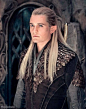Legolas.| The Hobbit: Desolation of Smaug | Jackson 2013
