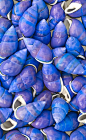 I've never seen blue shells before, have you?