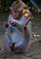 Sacred Monkey Forest, Ubud ❀  Bali Floating Leaf Eco-Retreat ❀ http://balifloatingleaf.com ❀
