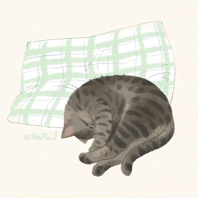 给猫猫画张画~睡觉的喵