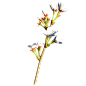 花枝花草免抠PNG图片素材（第⑤集)