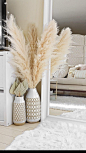 Earth Tone Living Room Ideas with Pampas Grass