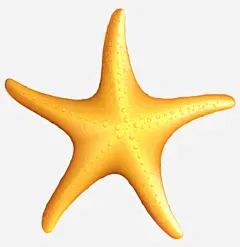 黄色小海星高清素材 五角星 动物 可爱小海星 小动物 手绘小动物 海星 海星插画 海洋生物 海洋生物插画 生物 黄色小海星 免抠png 设计图片 免费下载
