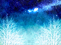 拉瑟采集到星空