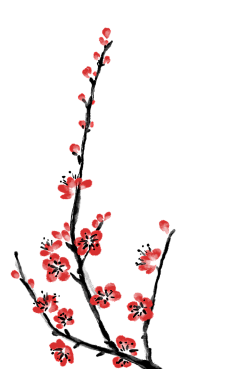 Mr小百万采集到梅花
