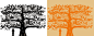 褚橙潘虎 | 褚老的新树果子——“云冠橙”鲜活上市-古田路9号-品牌创意/版权保护平台