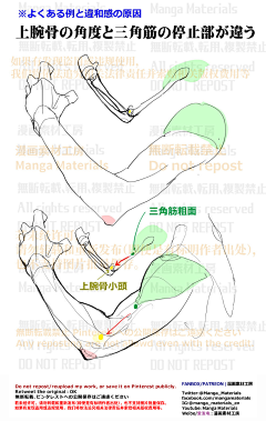 beans2014采集到hand