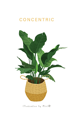 未央无双采集到插画-植物
