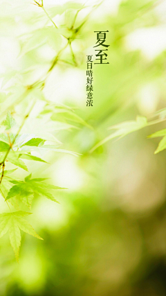 小西红柿豆豆采集到夏至