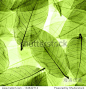 Seamless  green leaves background