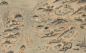 福建古地图系列——1884年福省全图（福州）