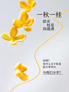 呦呦耶耶采集到桂花