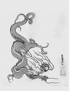 xLDJWfd3采集到笼