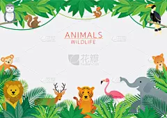 热带雨林,野外动物,边框,猴子,可爱的,野生动物,公园,狮子,象,动物